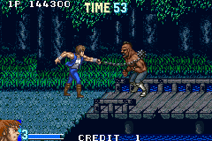 Double Dragon: Advance - Game Overview